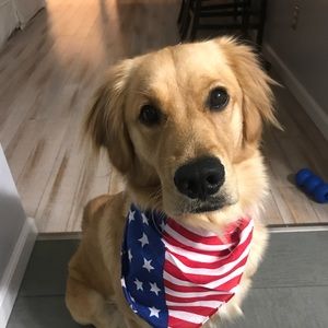 Meet your Posher, Candace